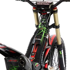 Busto_Replica_2022_82